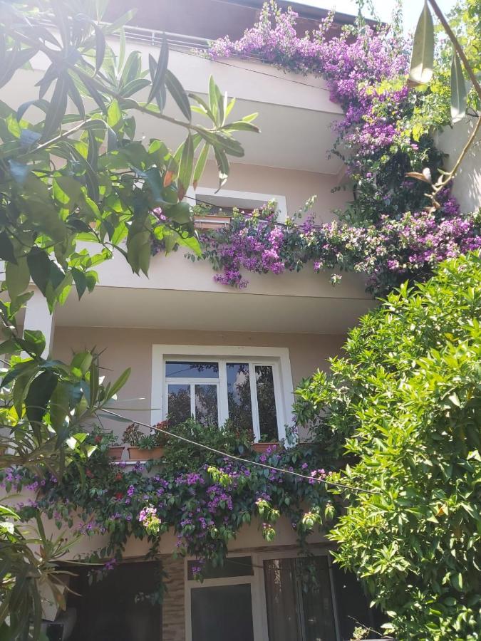 Flowers Guesthouse Tirana Buitenkant foto
