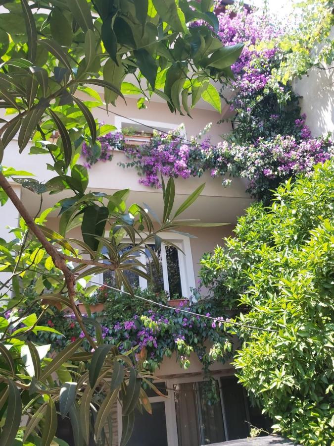 Flowers Guesthouse Tirana Buitenkant foto