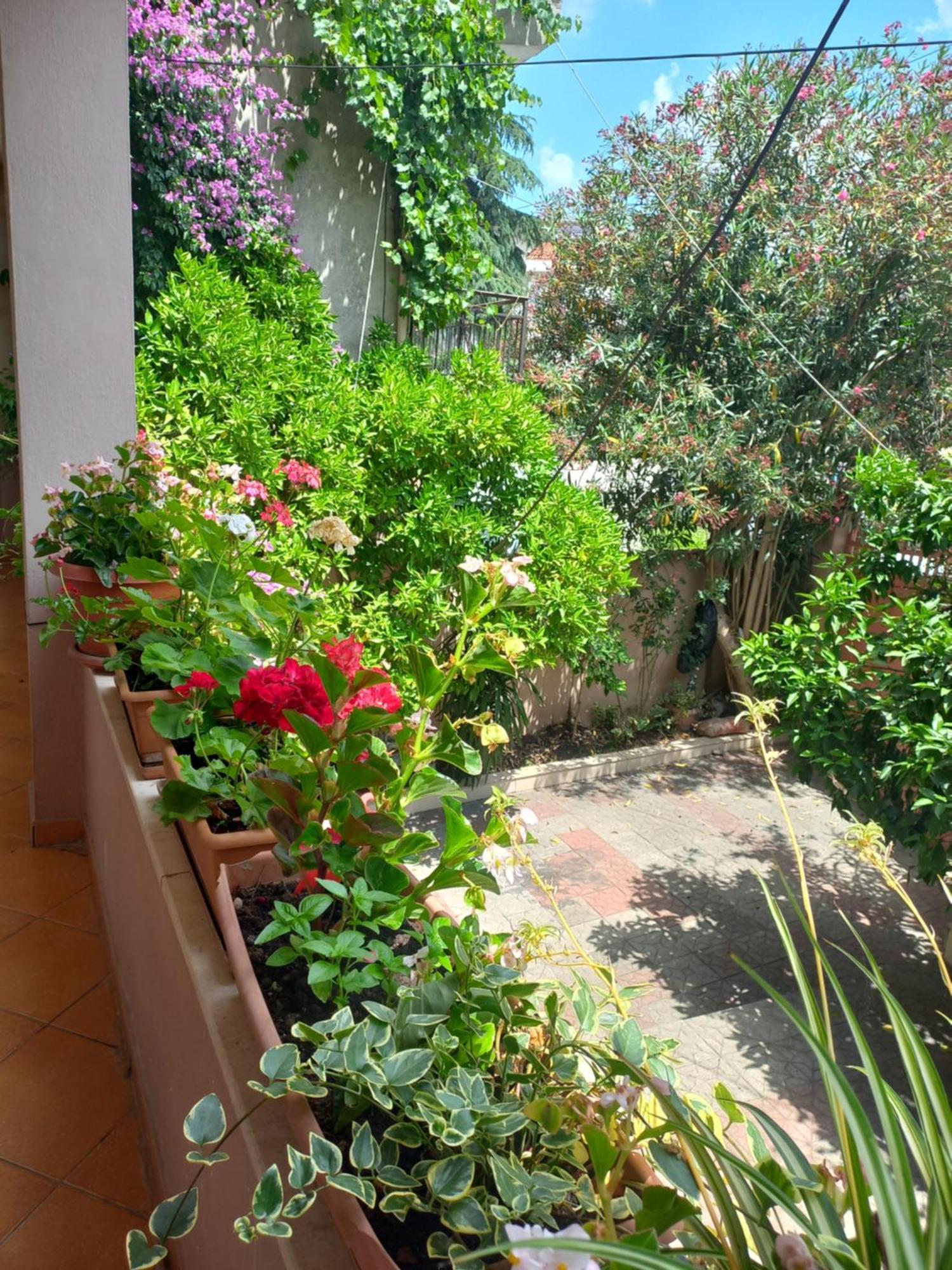 Flowers Guesthouse Tirana Buitenkant foto